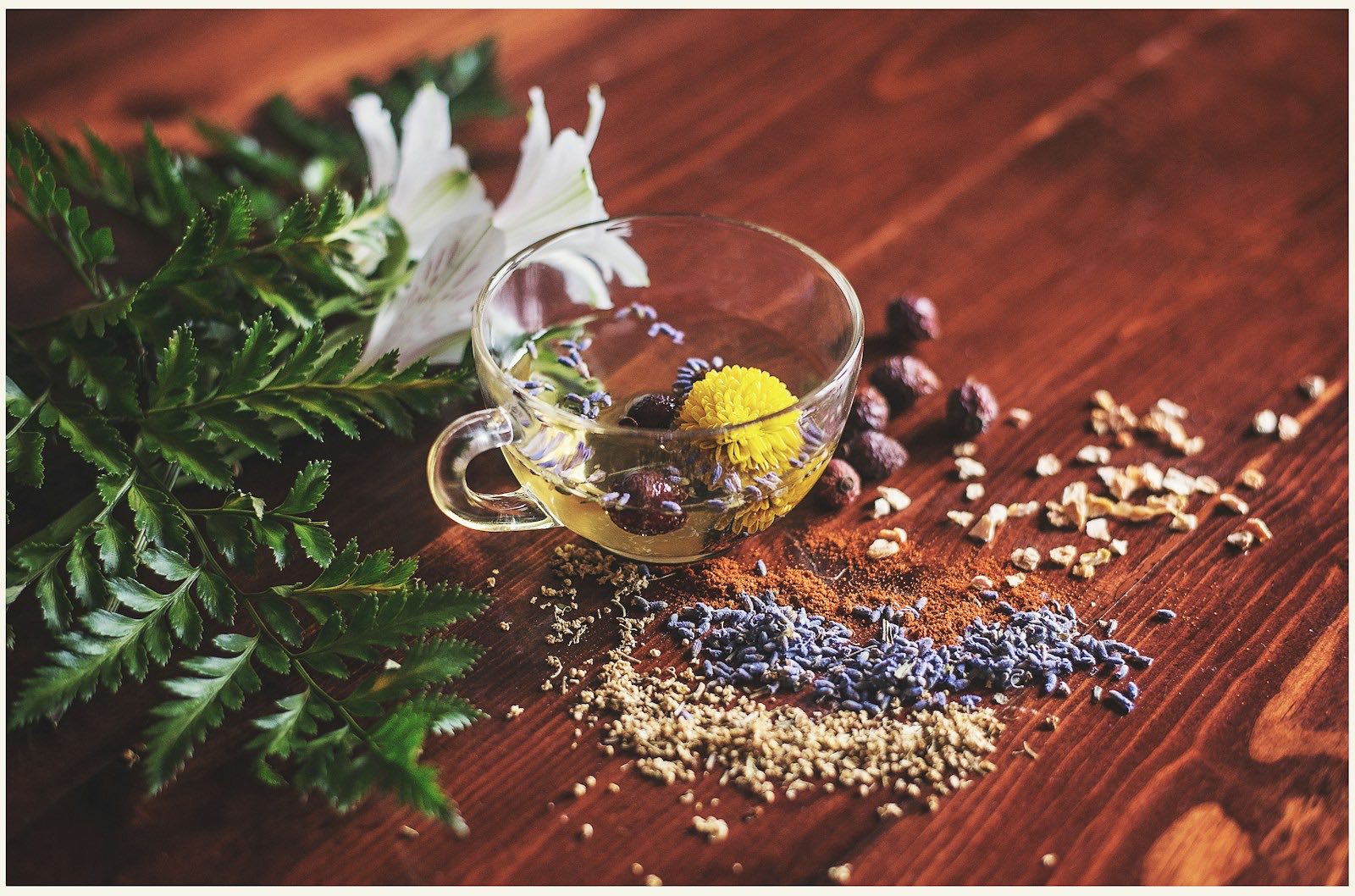 Herbal infusion and natural remedies — flowers, lavender, rosehips and dried herbs arranged on warm wood.